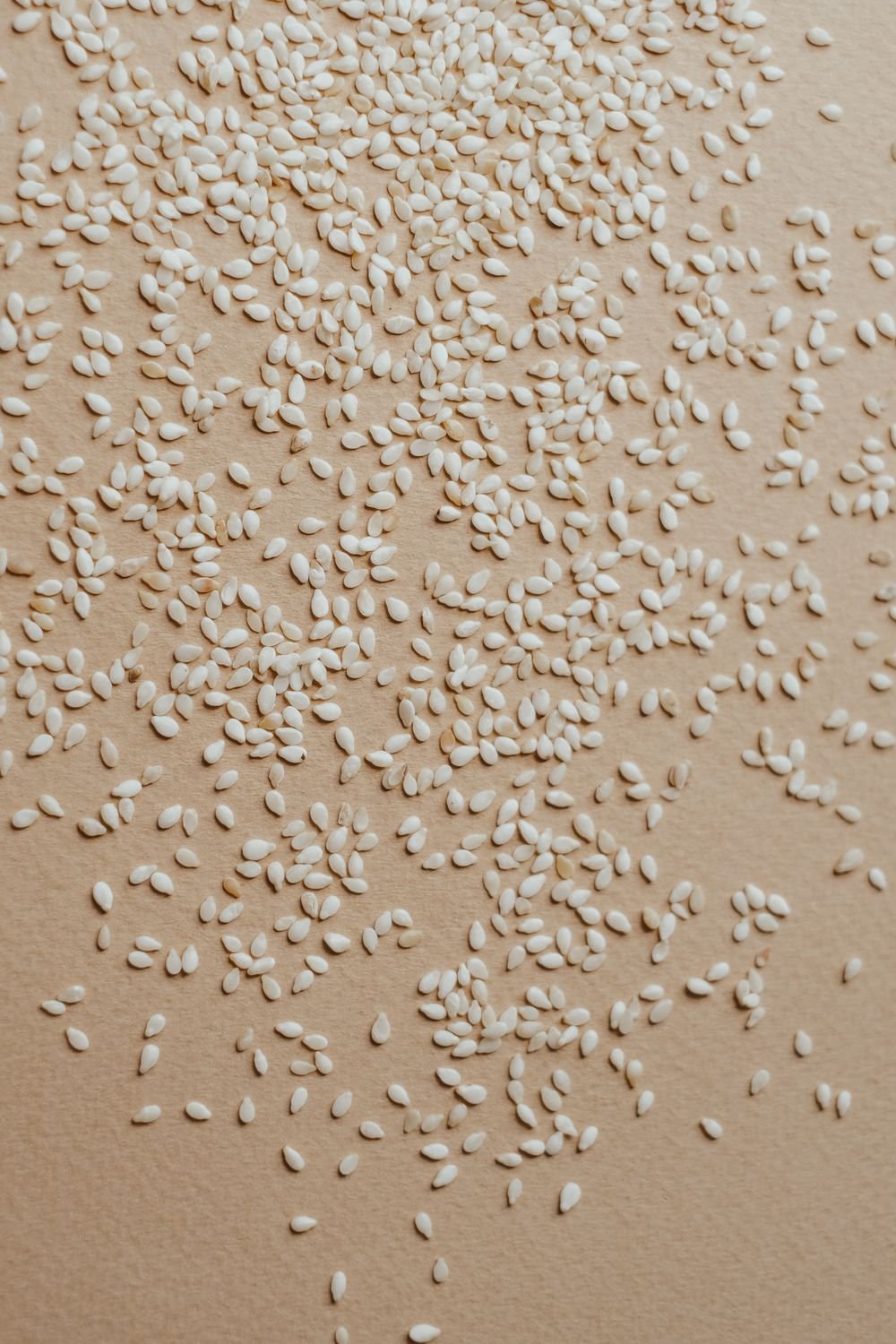 Oilseeds