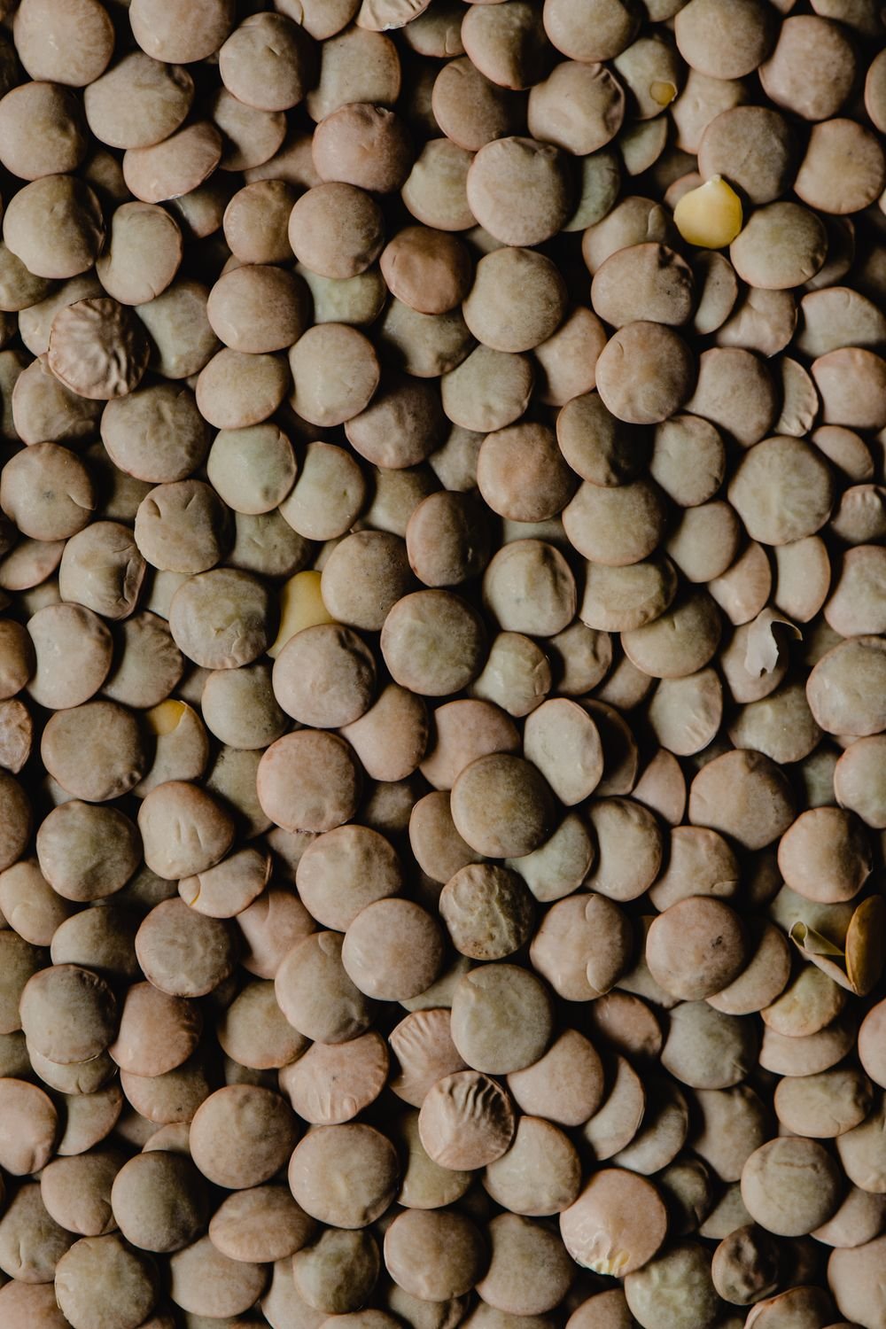 Pulses